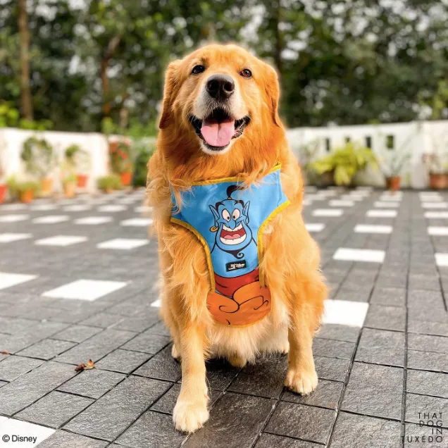 TDIT Genie Dog Body Mesh Harness