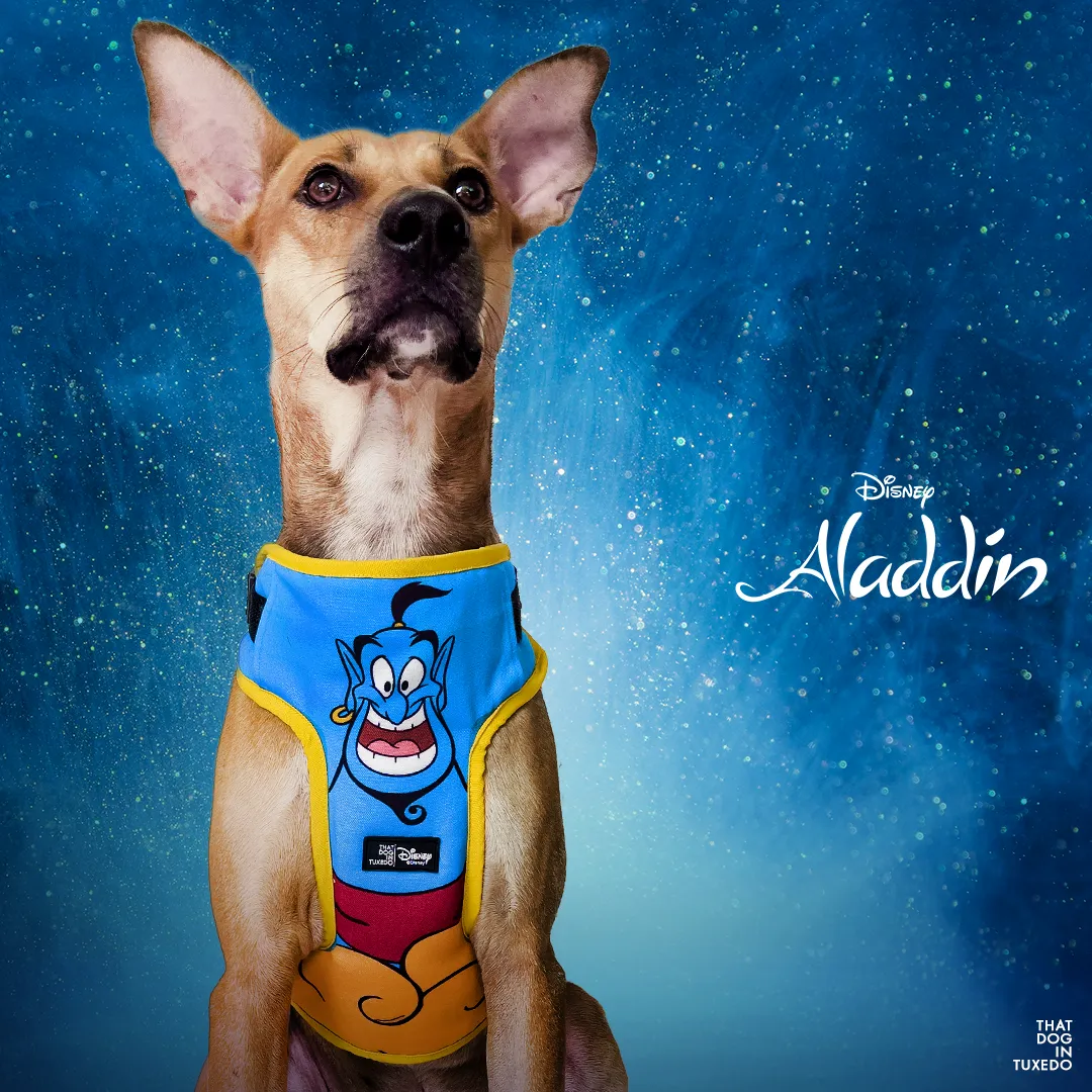 TDIT Genie Dog Body Mesh Harness