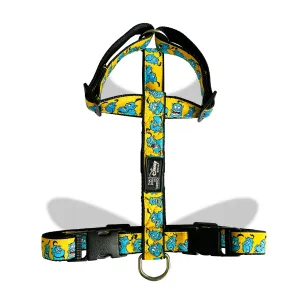 TDIT  H-Harness - Genie