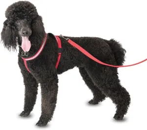 The Company of Animals COA Comfy Harness, Medium