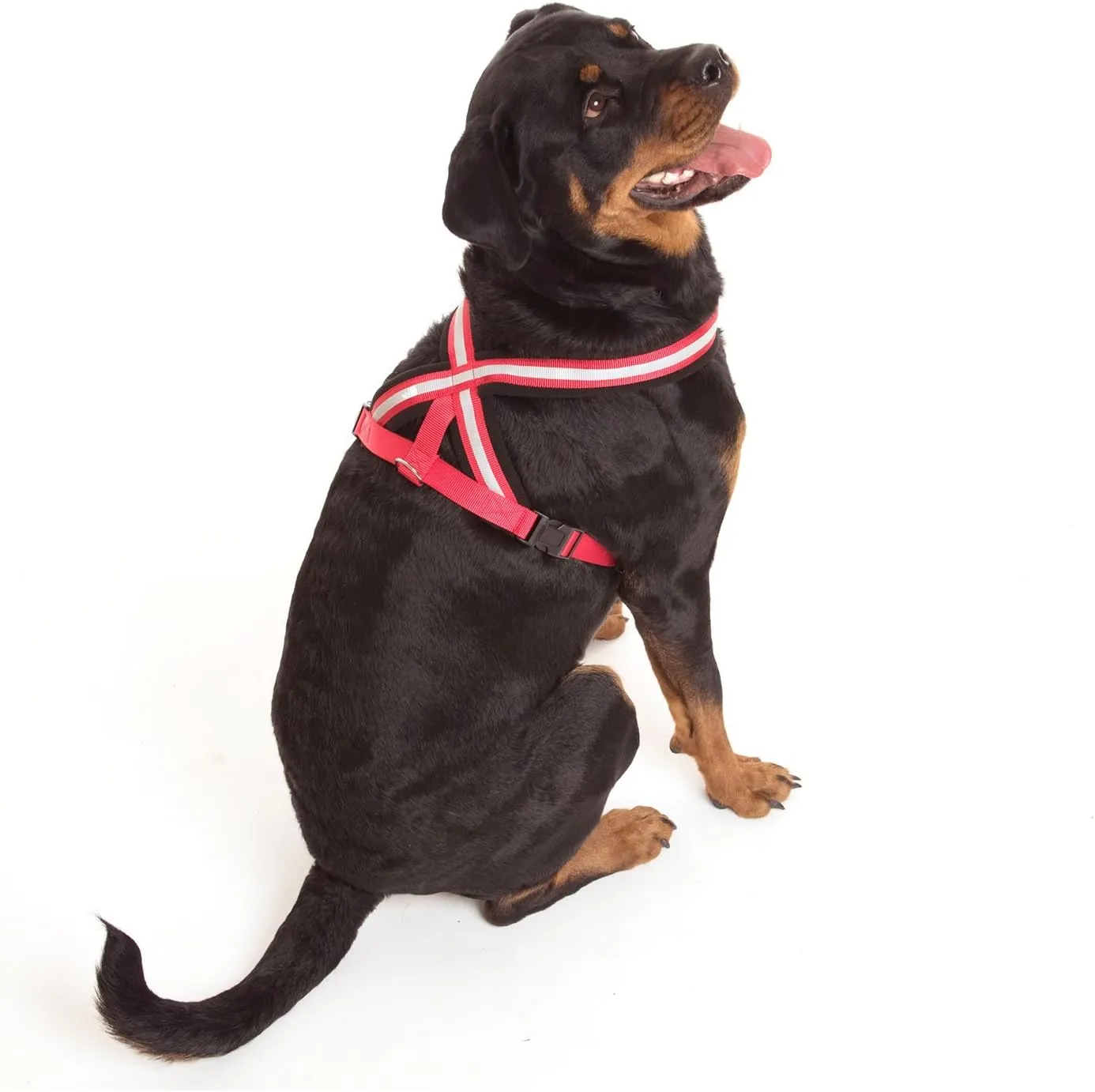 The Company of Animals COA Comfy Harness, Medium