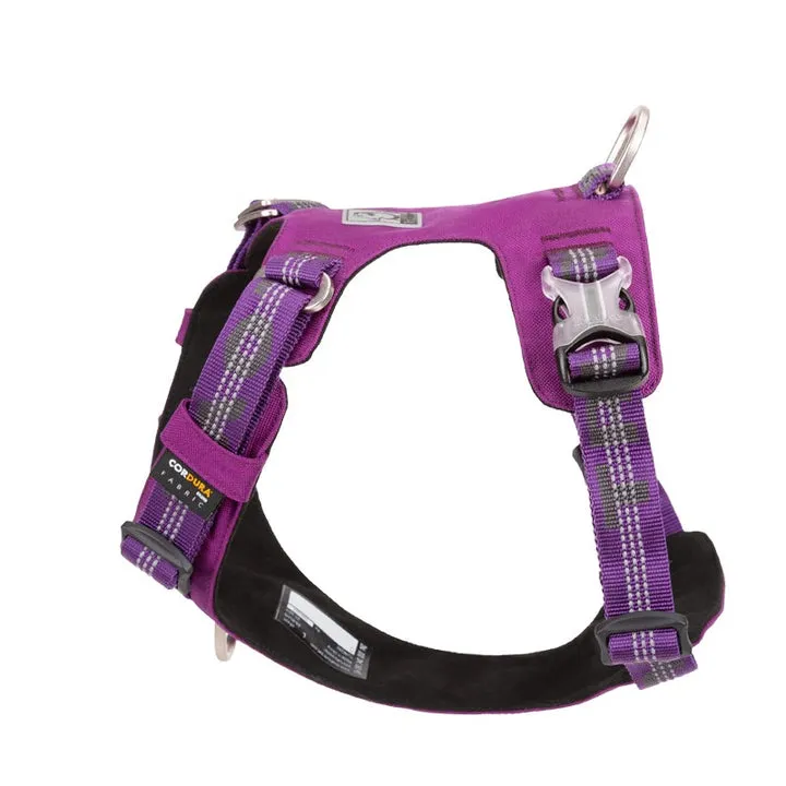 True Love Lightweight Reflective Harness - Purple, M