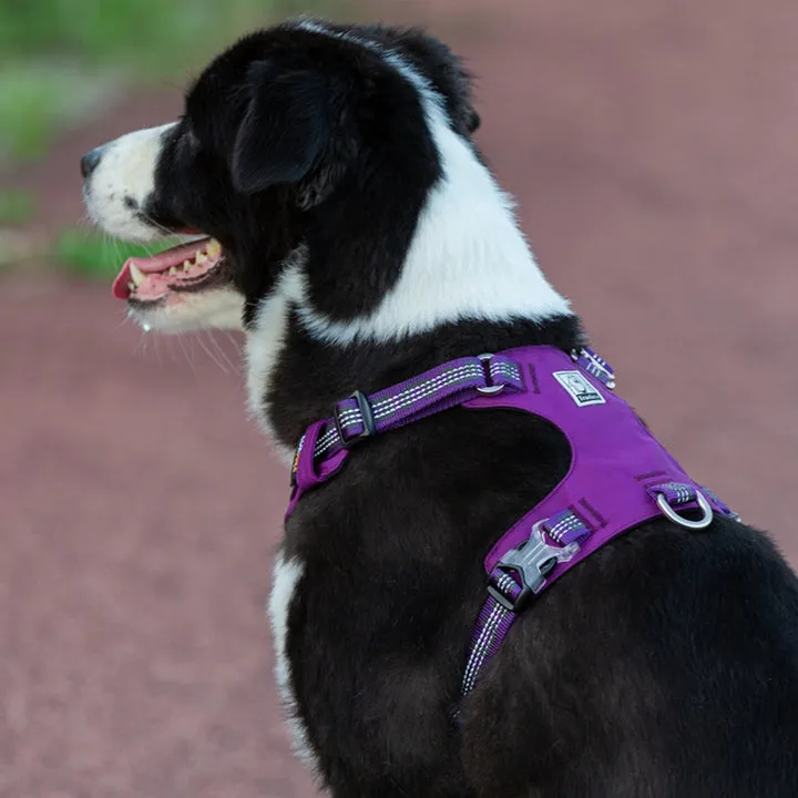 True Love Lightweight Reflective Harness - Purple, M