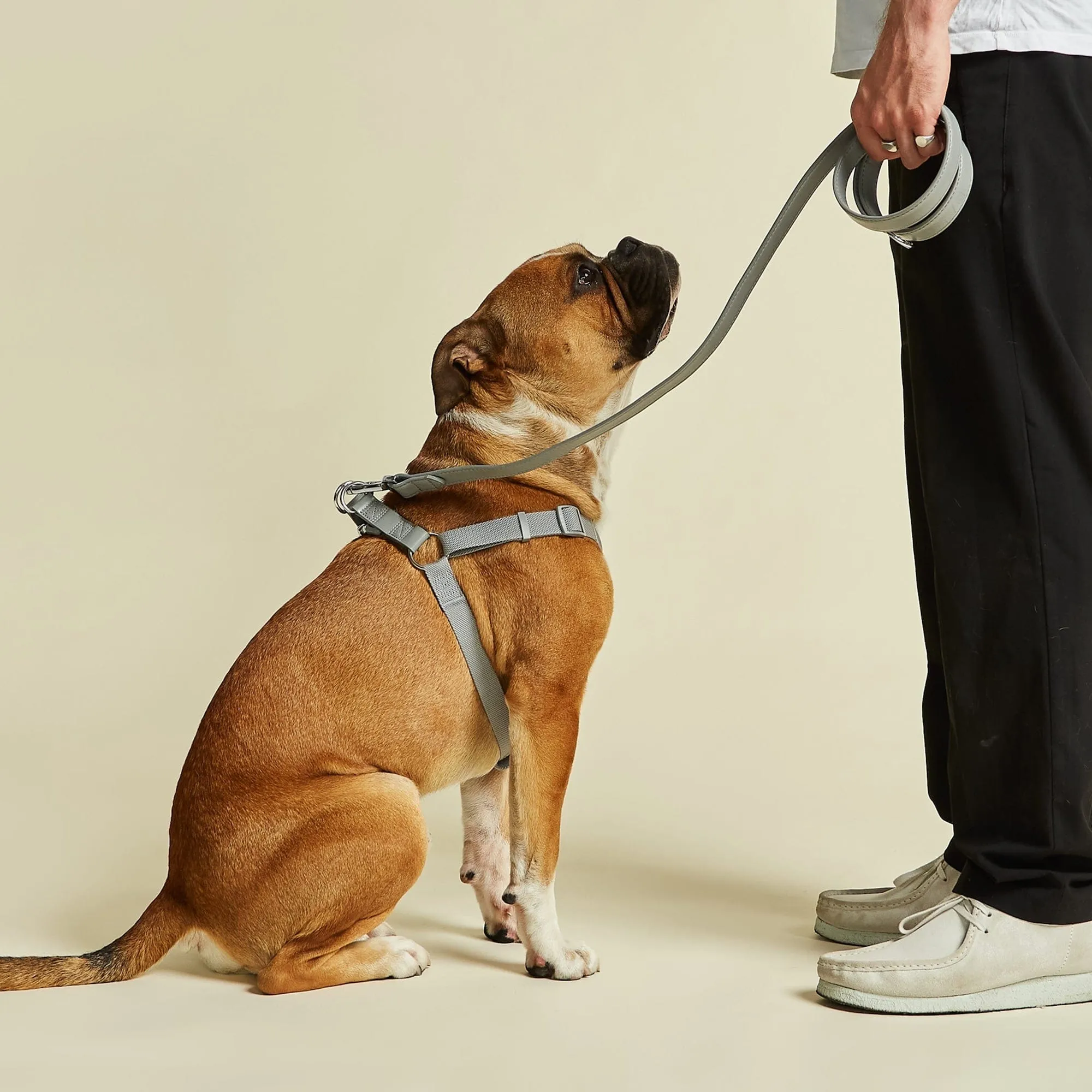 Vegan Leather & Nylon Dog Harness & Lead Set | Ash Grey