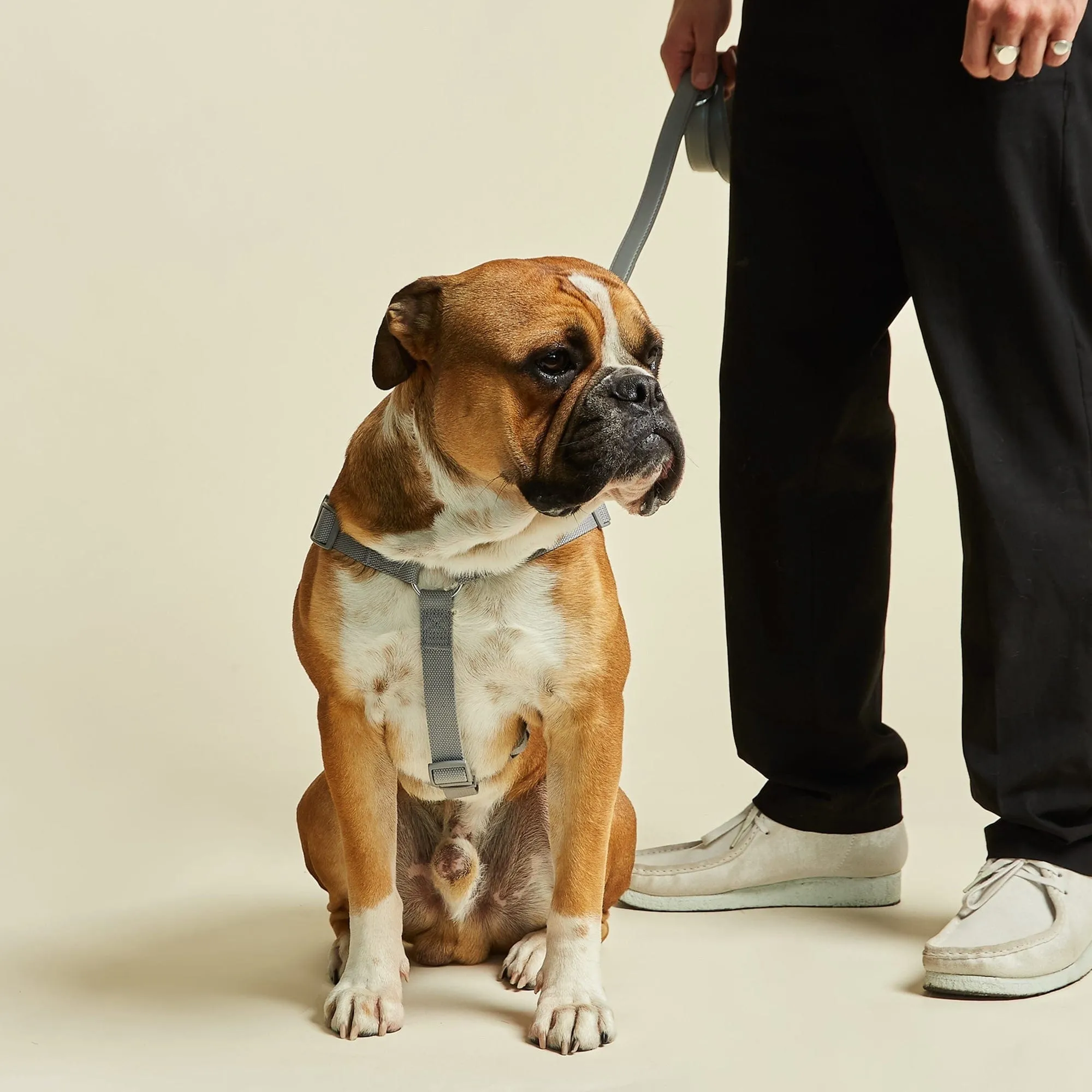 Vegan Leather & Nylon Dog Harness & Lead Set | Ash Grey