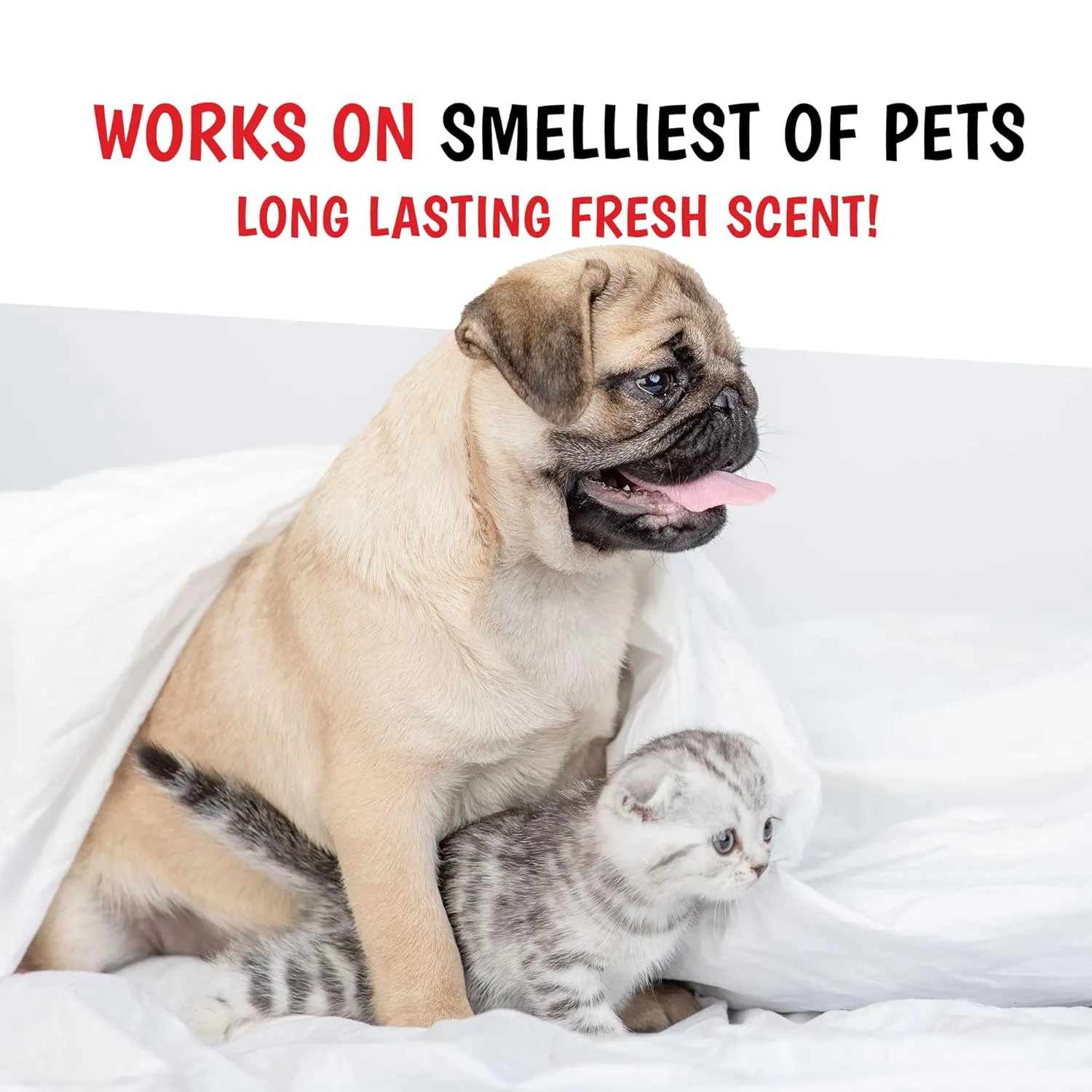 Warren London - Wet Kiss Dog Cologne, Long Lasting Dog Spray, Dog Deodorant to Remove Odor from Stinky Dogs, Tuscan Citrus, 16 Ounce Bottle