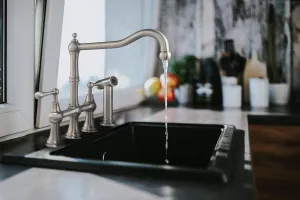 Waterhaus Lead-Free Solid Stainless Steel Bridge Faucet with a Traditional Spout, Lever Handles and Side Spray