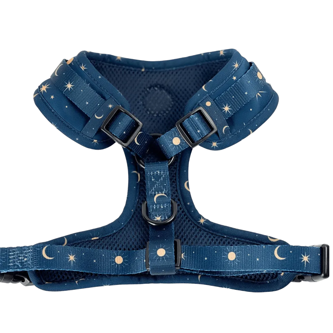 Woof & Wonder - Midnight Starlight Harness