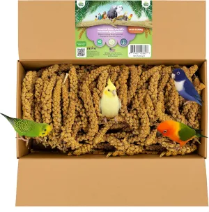 Worlds Freshest Spray Millet The Original Bird Treat & Supplement GMO-Free No Pesticides (No Stems Only Edible Tops) for Parakeets, Cockatiels, Lovebirds (25 Pound (Pack of 1))
