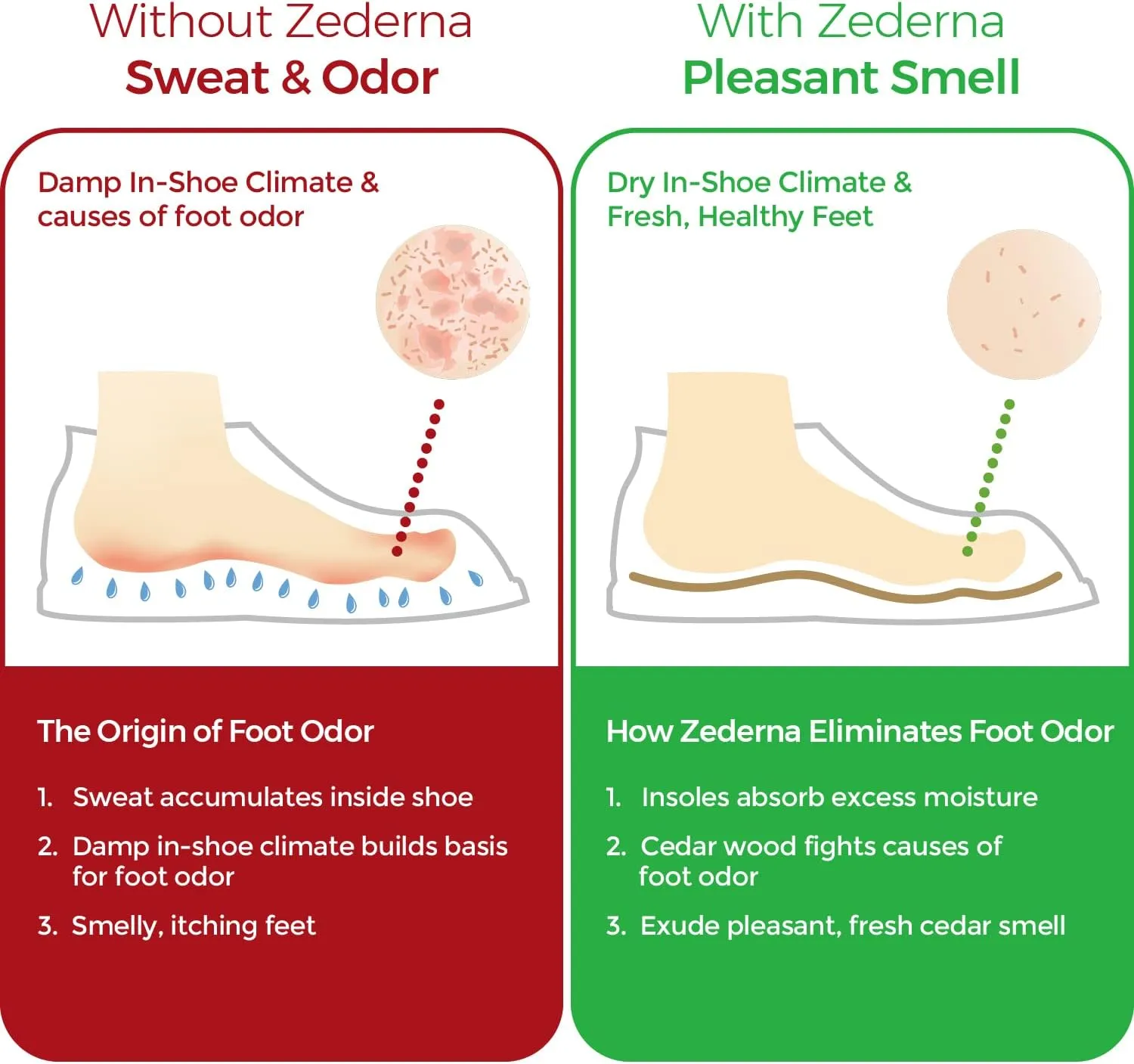 Zederna Cedar Wood Shoe Insoles 1 Pair, Cedar/RedUS M 8.5/ W 10/ EU 42