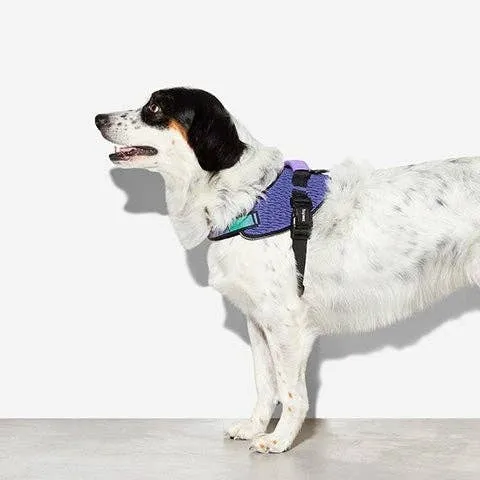 Zee.Dog - Wicked | FlyHarness: Size 2