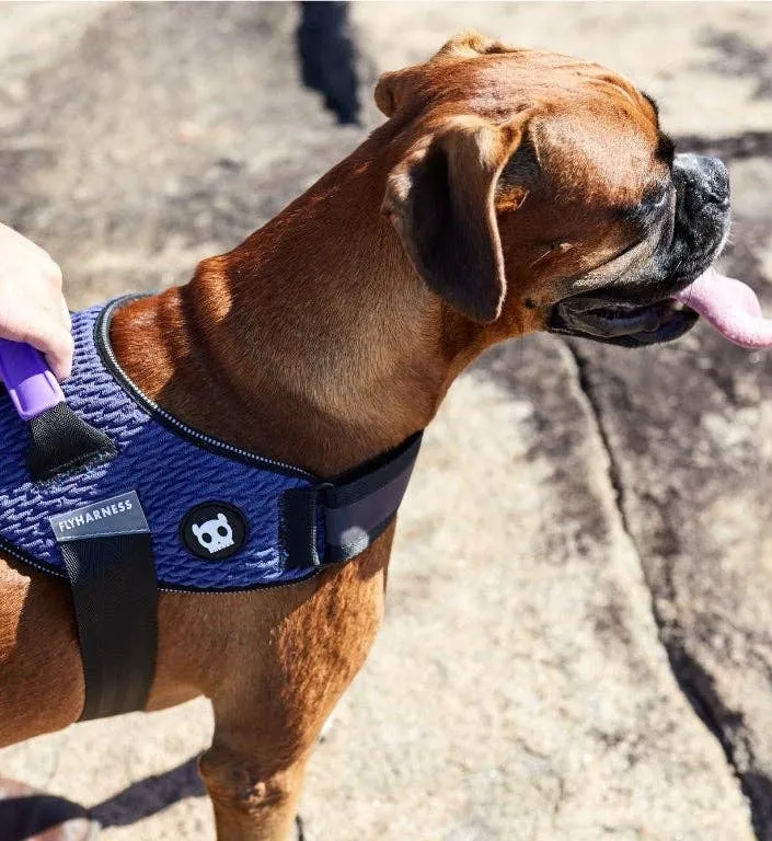 Zee.Dog - Wicked | FlyHarness: Size 2