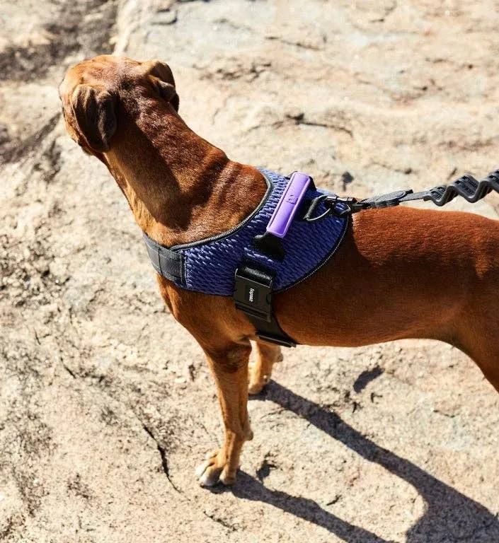 Zee.Dog - Wicked | FlyHarness: Size 2